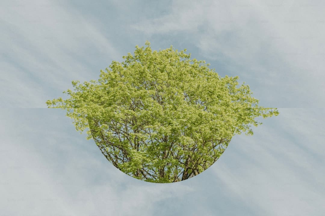 《与晋长安》三个身份是什么？